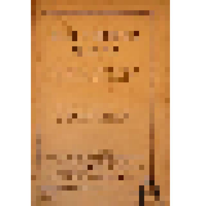 Книга. Bibliotheca Aldina eine sammlung von mehr als 500 drucken des Aldus Manutius und Seiner Nachfolger