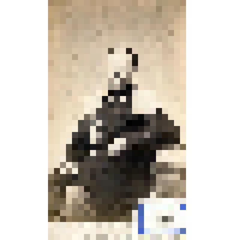 Фотография черно-белая. Лучницкий Дмитрий Пантелеймонович