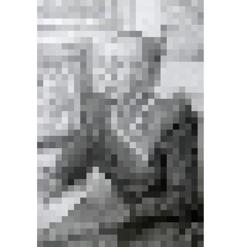 Картина. Иваненко Е. Е. - главный хранитель Краснокамской картинной галереи имени И. И. Морозова