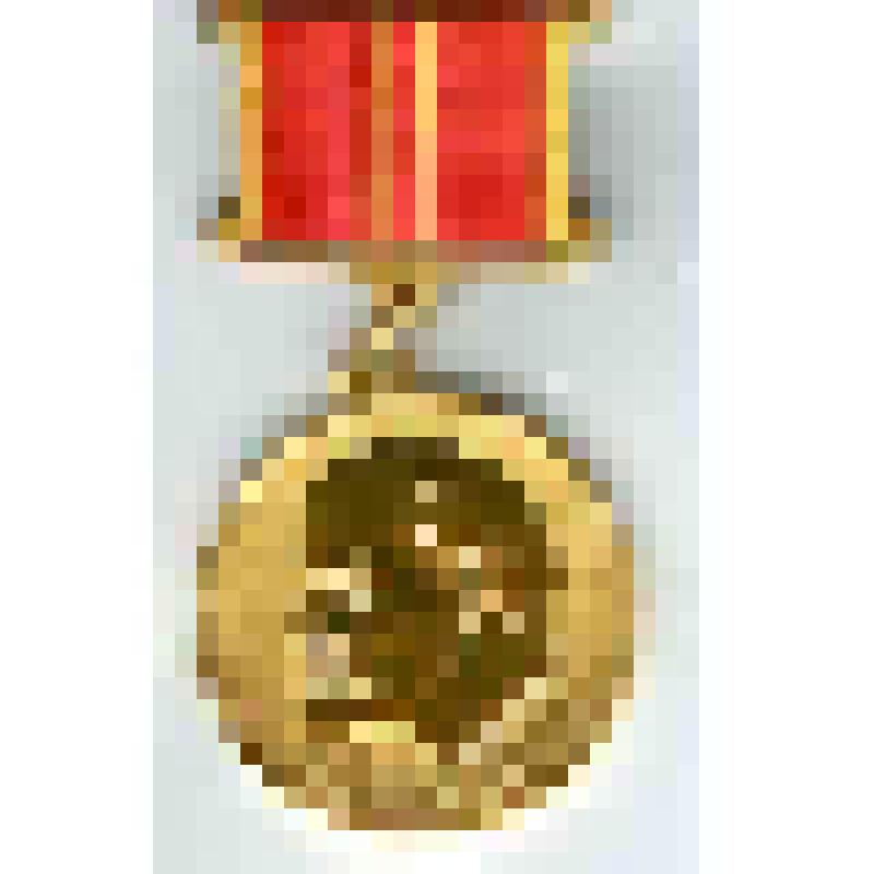 Медаль юбилейная "За доблестный труд. В ознаменование 100-летия со дня рождения В.И. Ленина" Яцкина Ивана Терентьевича, из коллекции государственных наград и документов к ним ветеранов труда супругов Яцкиных Ивана Терентьевича и Зинаиды Семеновны