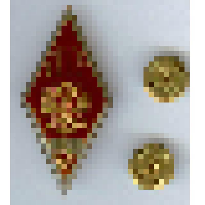 Знак нагрудный «Почетный доктор СГТУ» Троицкого Н.А., доктора исторических наук,  профессора