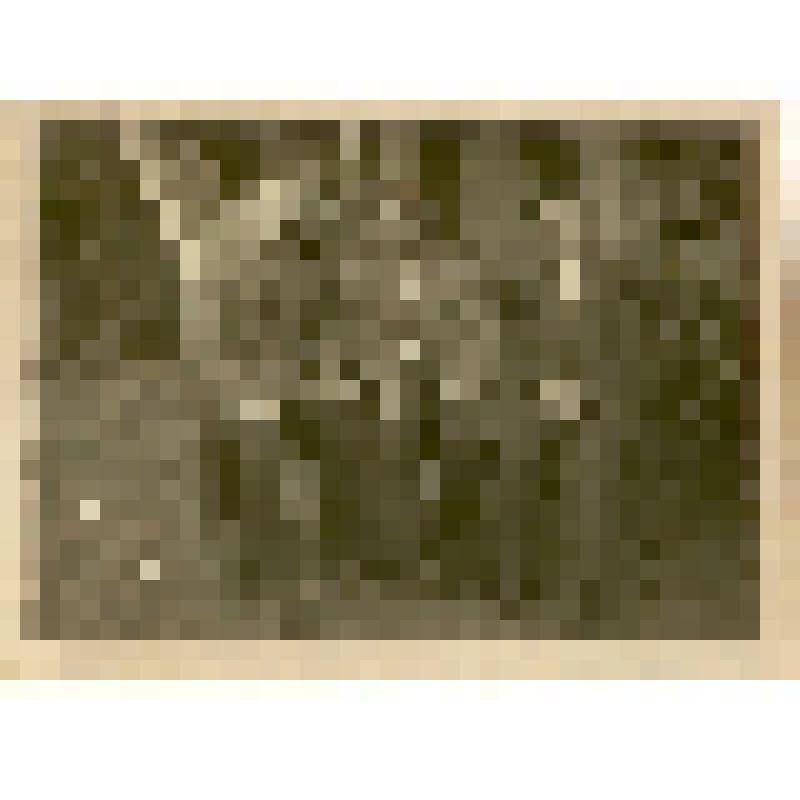 Фотография. Абрамов Николай Яковлевич, участник Великой Отечественной войны, с ветеранами на отдыхе в санатории Черемшаны 1