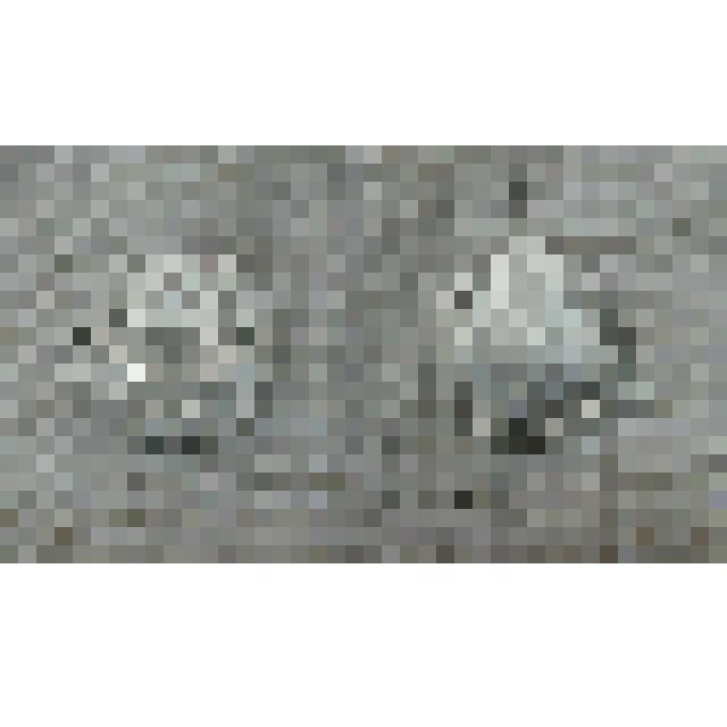 Монета. Десять копеек