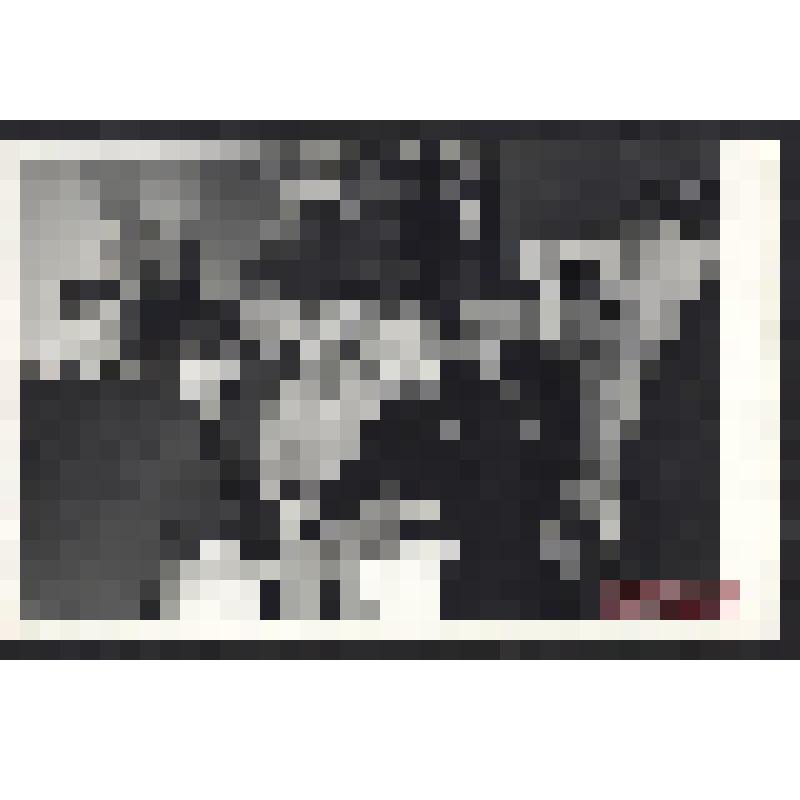 Фотография. Директор Школы высшего спортивного мастерства Г.И.Чекис обменивается вымпелами с руководителем команды Румынии по биатлону в здании школы