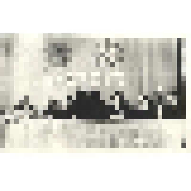 Фотография чёрно-белая. Выступление депутатов на праздновании 30-летия со дня Победы