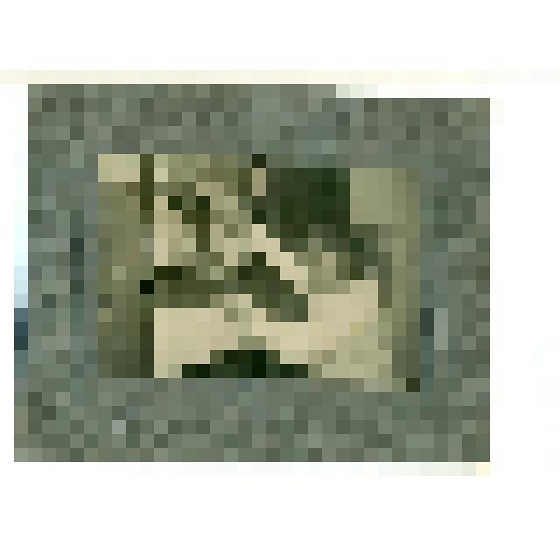 Фотография. Адова А.Н., внучатая племянница Д.И.Менделеева