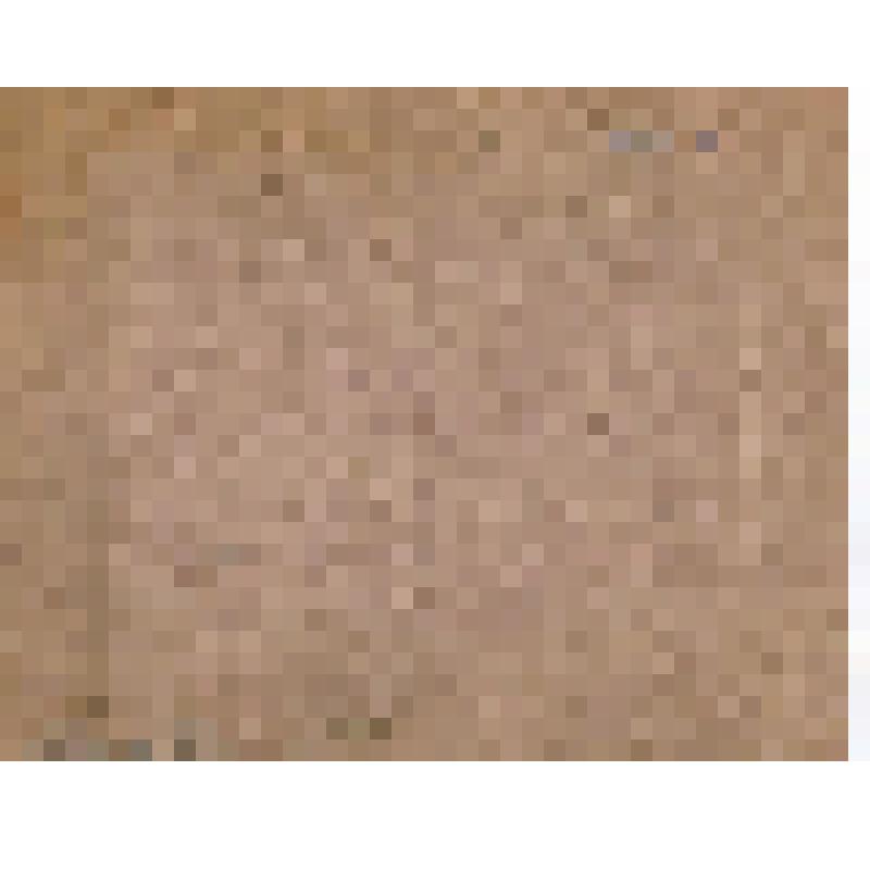 Фотография. Адова А.Н., внучатая племянница Д.И.Менделеева