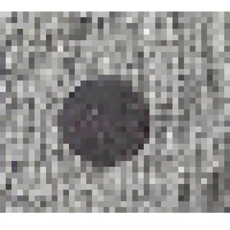 Монета. Двадцать копеек