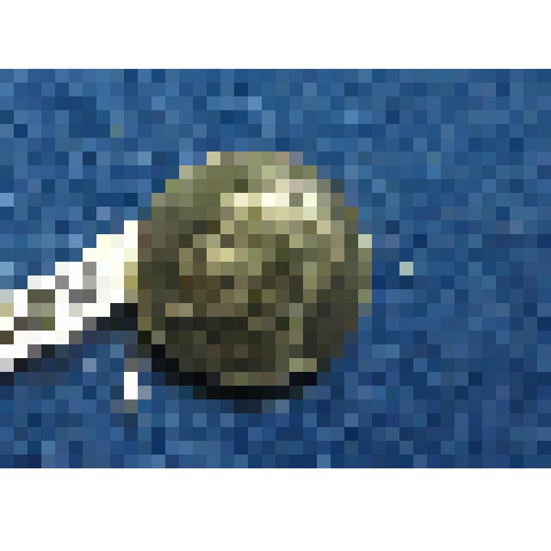 Значок. Ф.Дзержинский