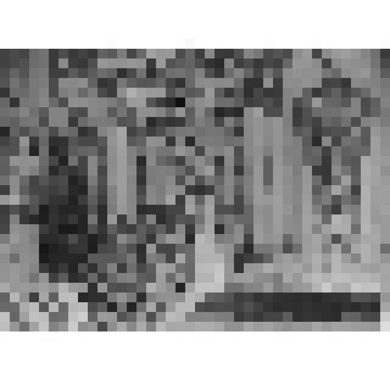 Большой дворец. Парадная лестница. Верхняя площадка. Вид на восточную стену