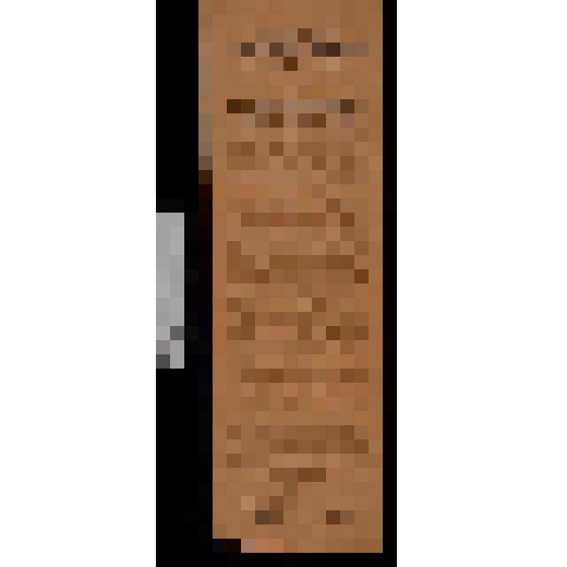 Программа электротеатра "Мулен Руж" на 2, 3 и 4 мая 1910 г