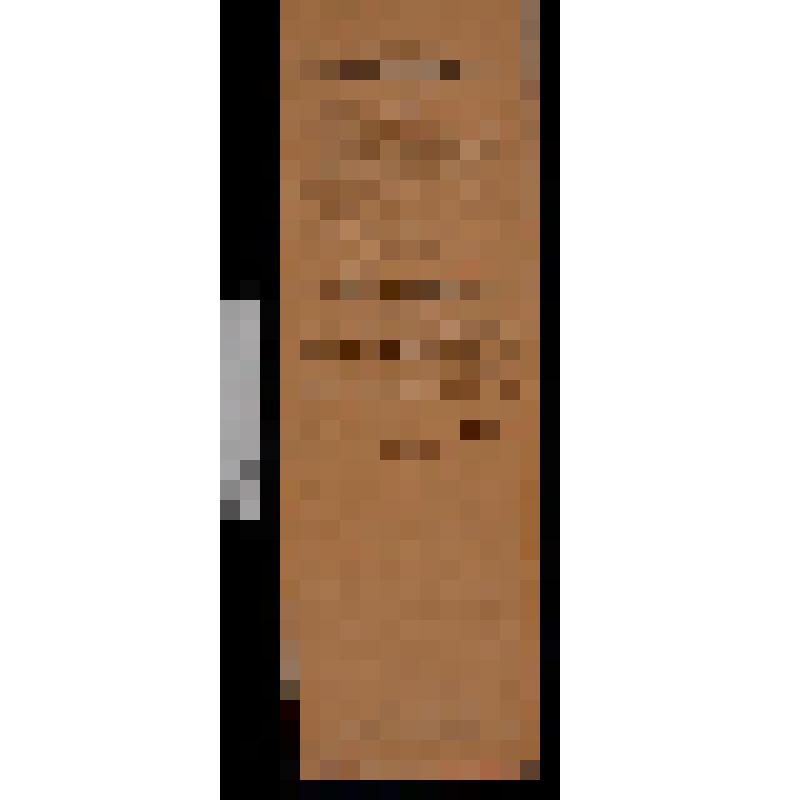 Программа электротеатра "Мулен Руж" на 2, 3 и 4 мая 1910 г