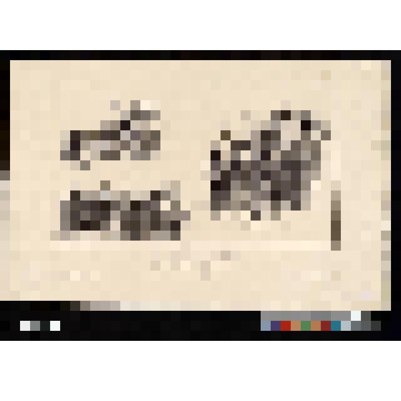 Наброски сделанные в 1830 году. Croquis faits d'apres nature dans Paris pendant les Journees des 27 et 29 Juillet 1830. Pl. I