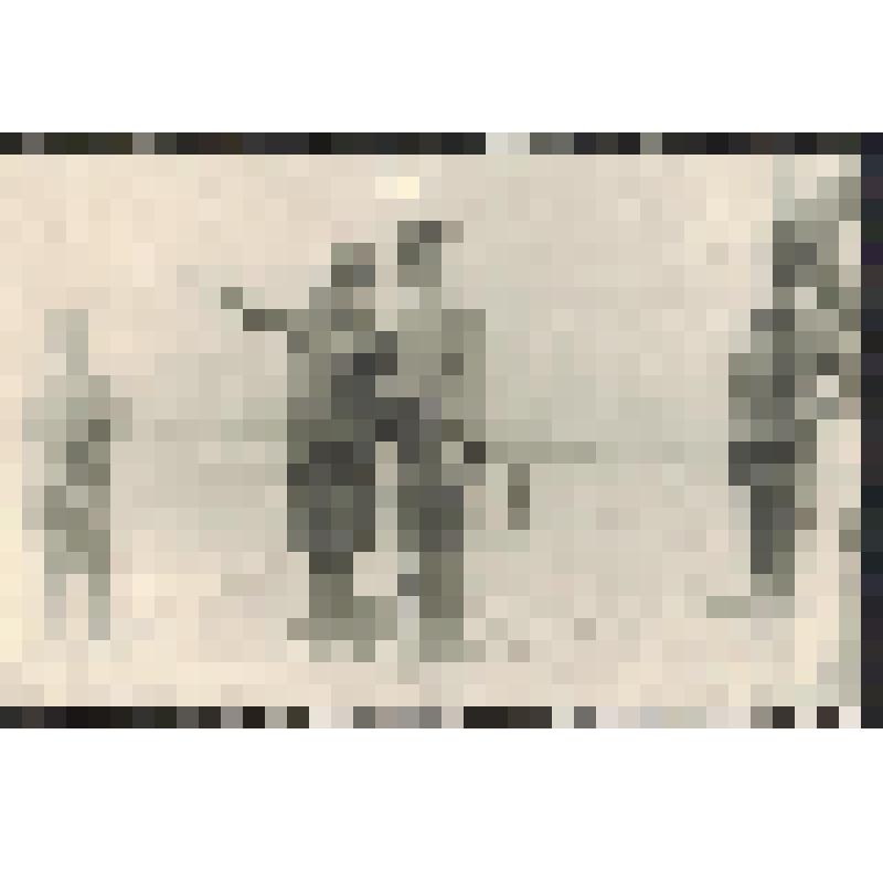 Фотография. Командиры 80 стрелкового корпуса на рекогносцировке перед штурмом Берлина.1945 г