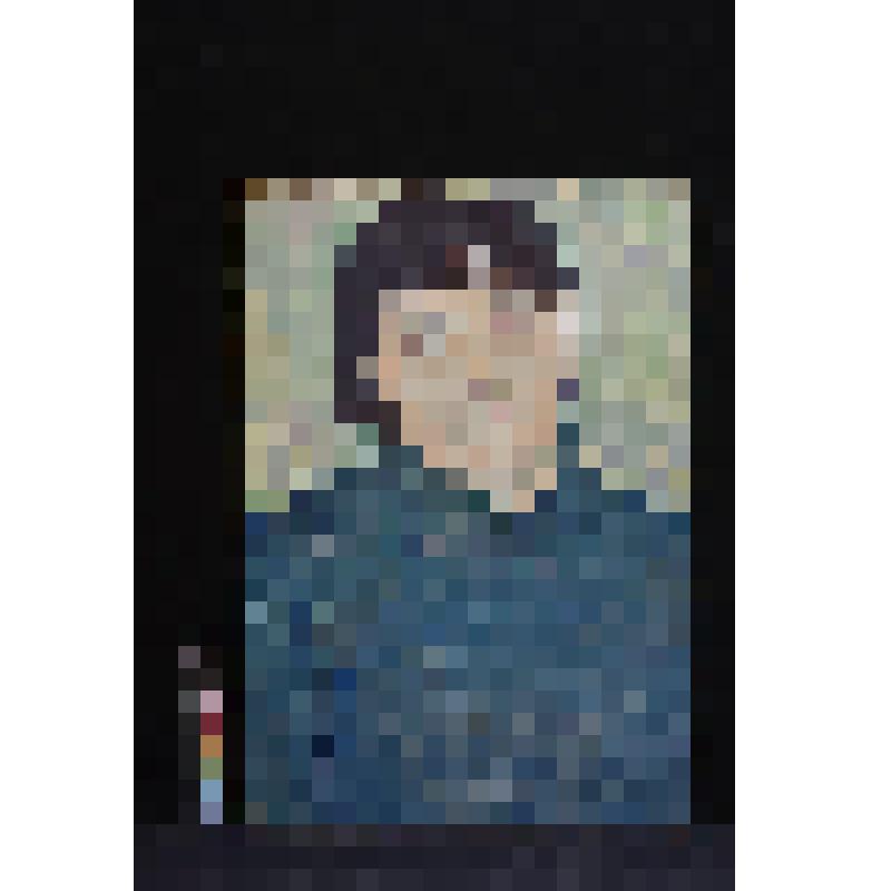 Портрет В. Снеговской