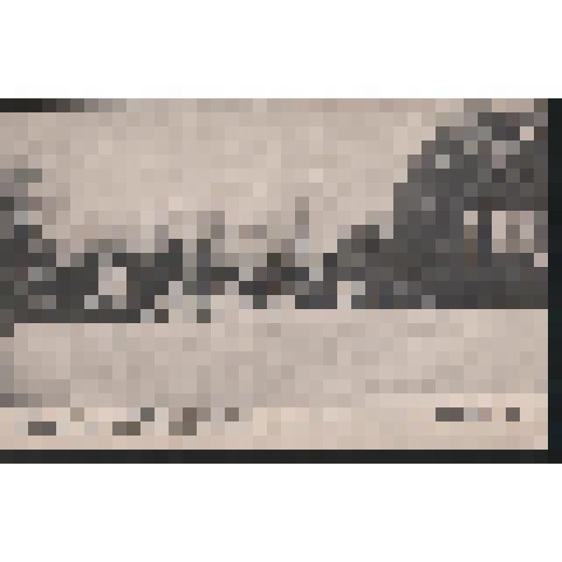 "Москва в баррикадах и развалинах. Баррикада у сада "Аквариум"