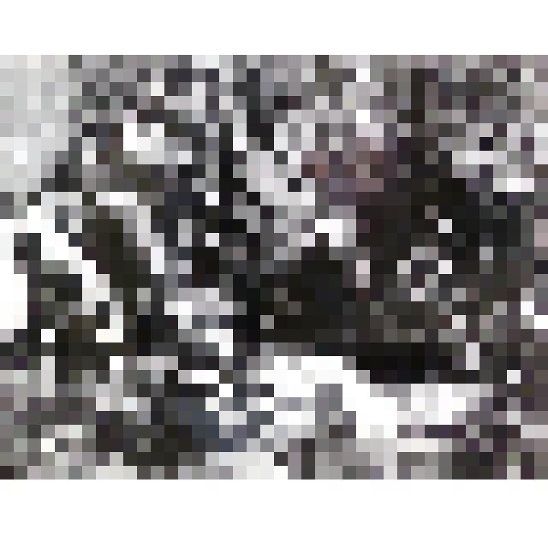 Фотография "У Вечного огня"