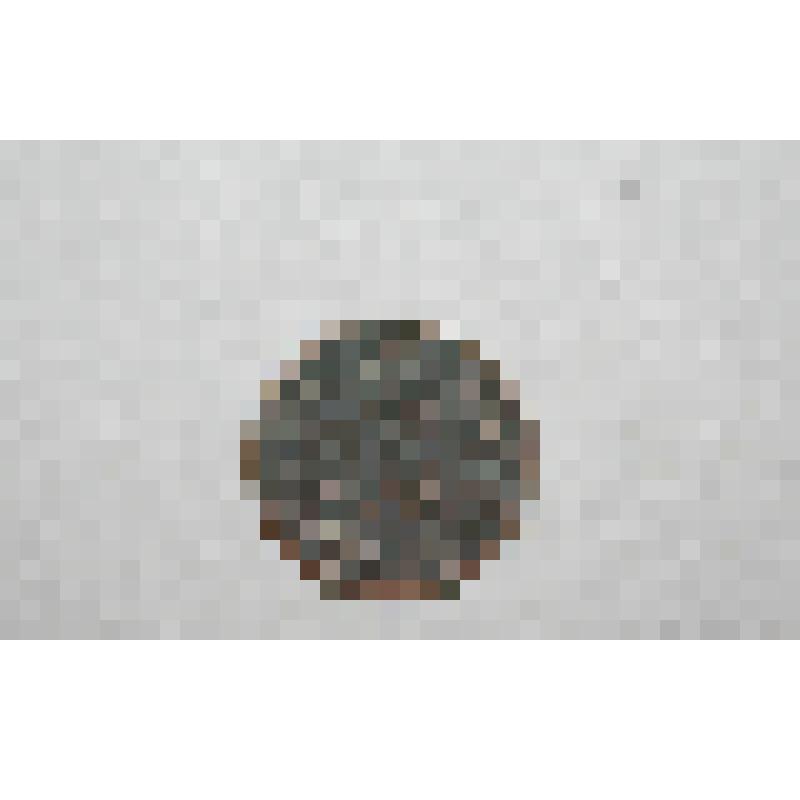 Монета. Полкопейки