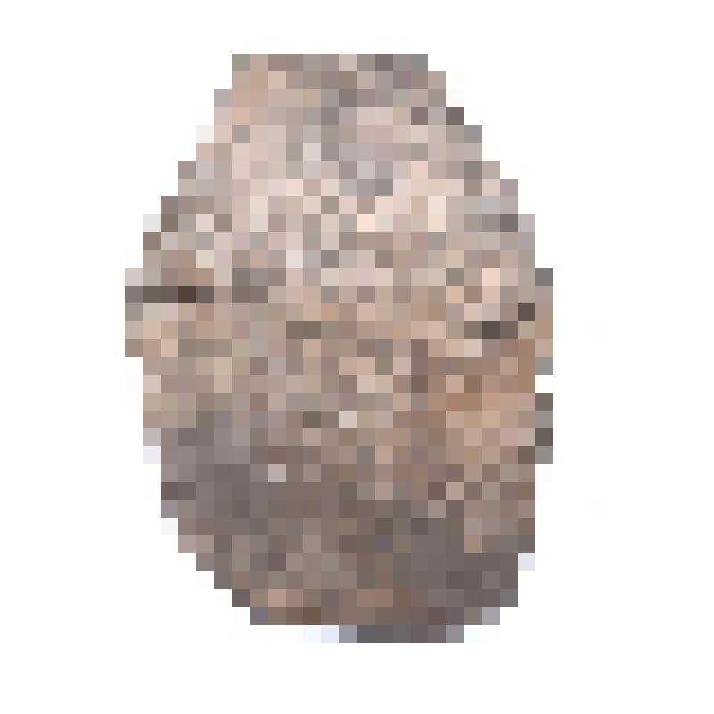 Сосуд (фрагмент)