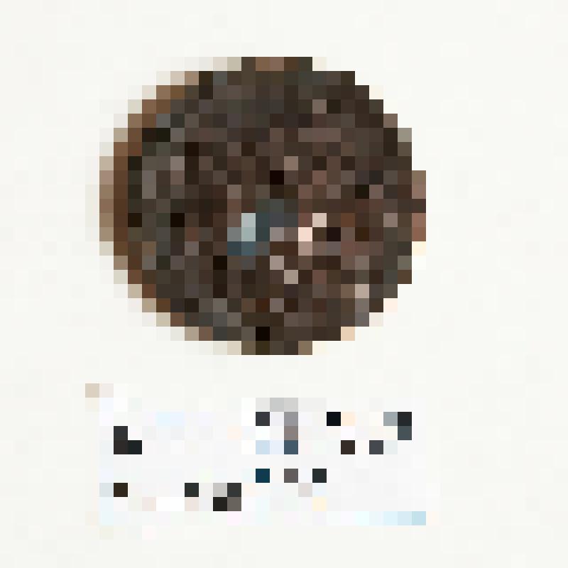 Монета. Денга