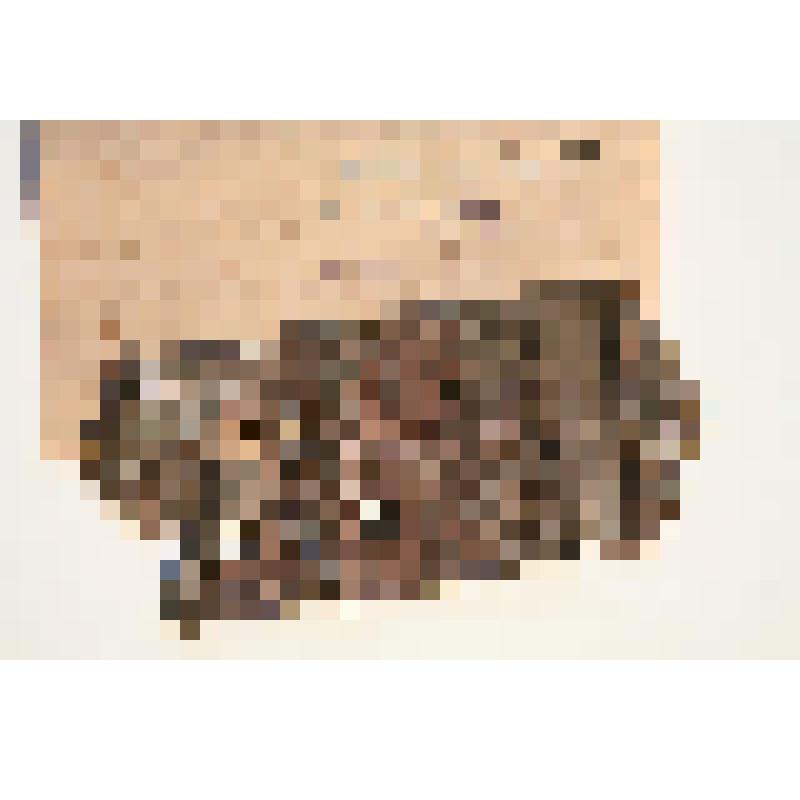 Накладка (фрагмент) прямоугольной формы с треугольным завершением с отверстием. На накладке: 6 отверстий, растительный орнамент, цифры "4","5","6","7"; изображения: герба в круге, женской головки в лавровом венке в круге