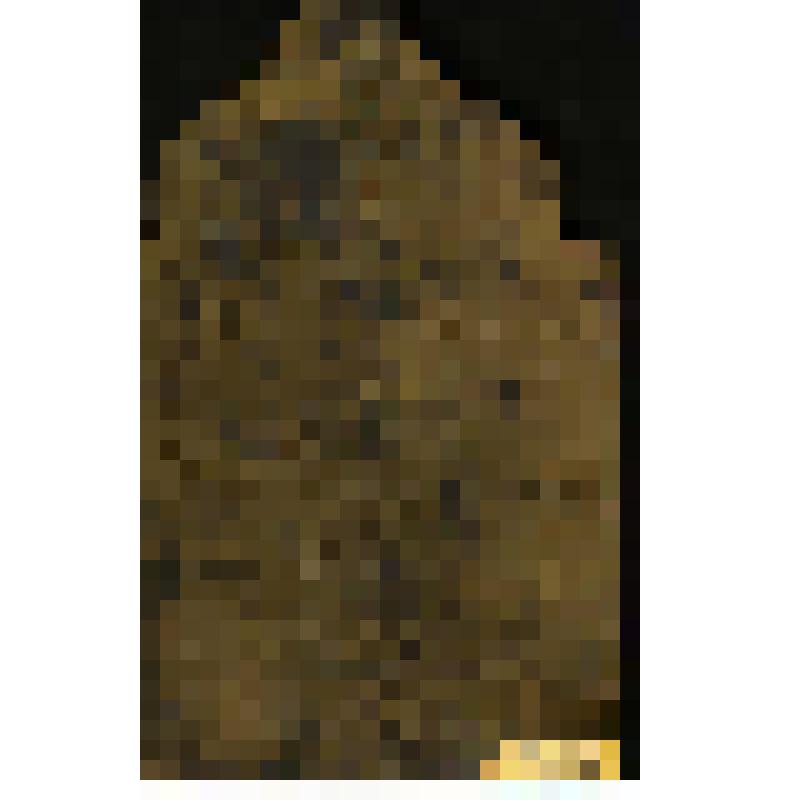 Икона "Всех скорбящих радости". Икона "Всех скорбящих радости"