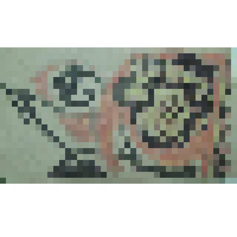 Орнамент. Ракушка. Рисунок