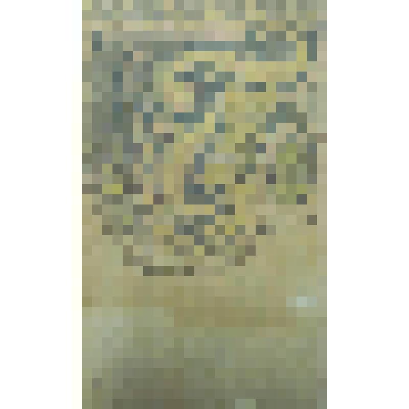 Орнамент. Ракушка. Рисунок