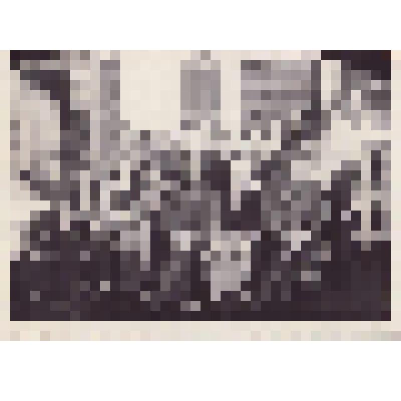 Фотография черно-белая. Рыбак (Семенова) Р.А. с сыном среди родственников Семёновых.  Из архива Р. А. Рыбак