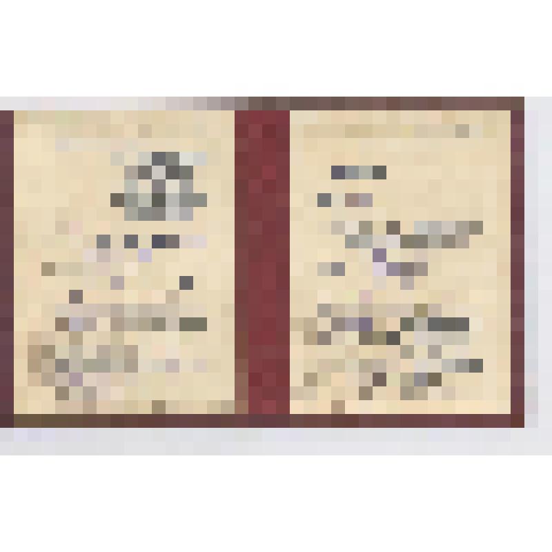 Билет № 191 Быкова А.И., делегата XIX Удмуртской областной партийной конференции от Воткинской городской организации с решающим голосом