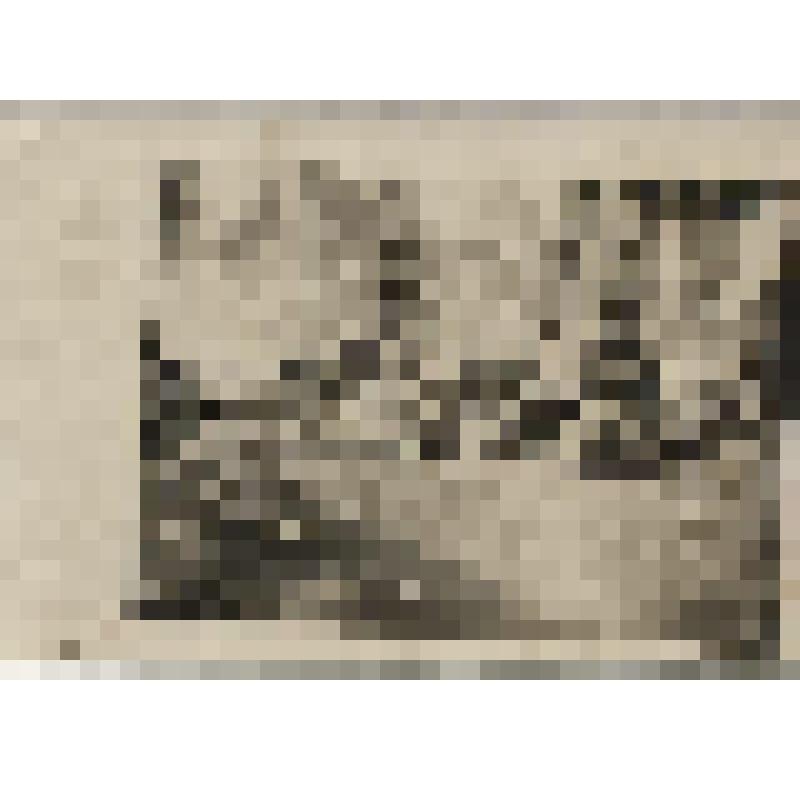 Фотография черно-белая. Привал