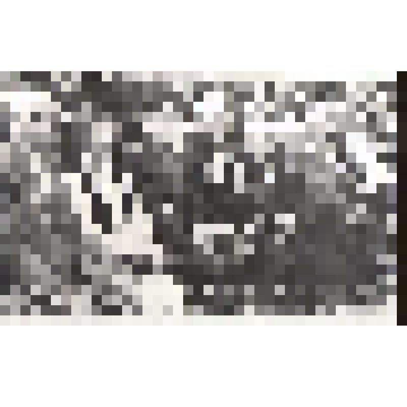 Фотография. 40-летие Курской битвы. Встреча ветеранов 81 гвард. Красноградской Краснознаменной, орд. Суворова стрелковой дивизии 7 гвард. Армии Воронежского, Степного фронтов