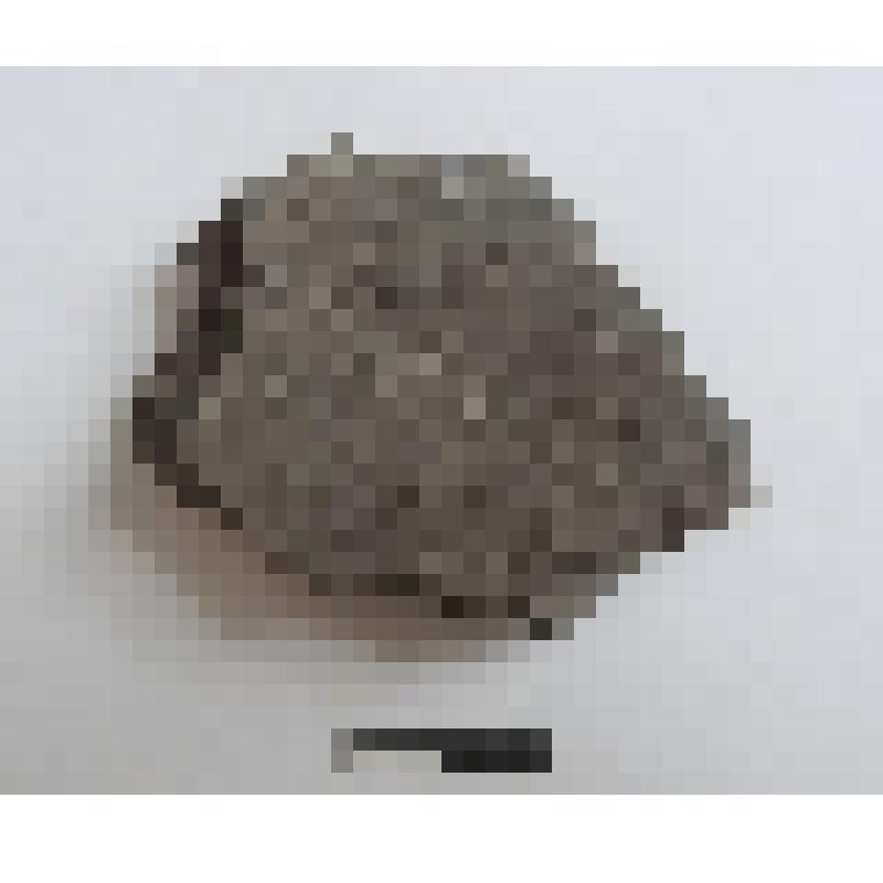 Сосуд лепной. Фрагмент стенки