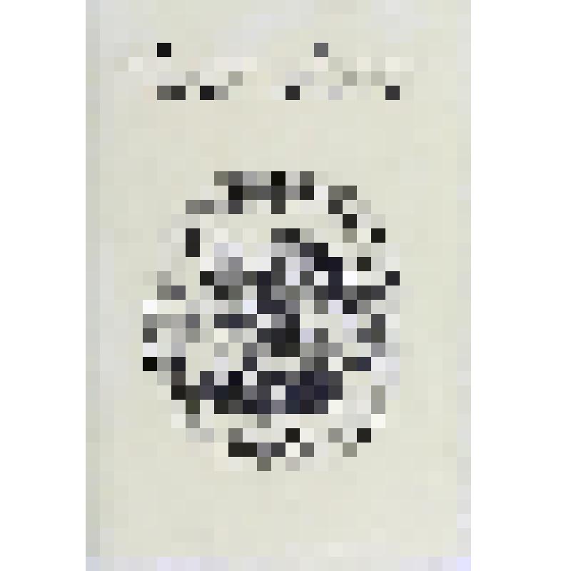 Книга. Е.А. Андреева-Бальмонт. Воспоминания. Подготовка текста, комментарии А. Паниной, Л. Шульман.  М.: издательство им. Сабашниковых, 1997