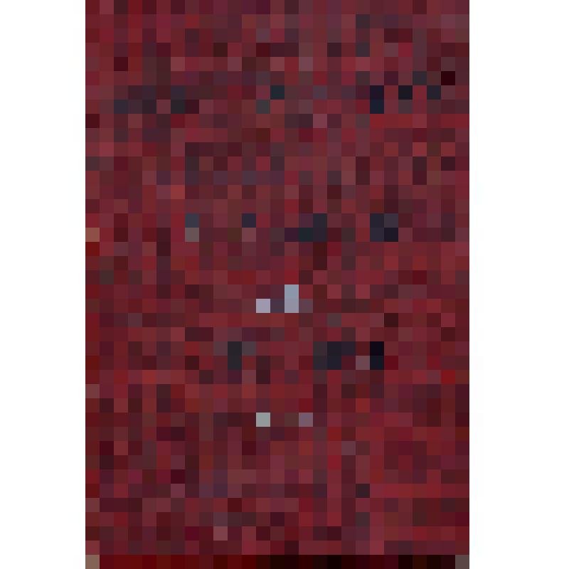 Книга. Литературное наследство Сибири. Том 3