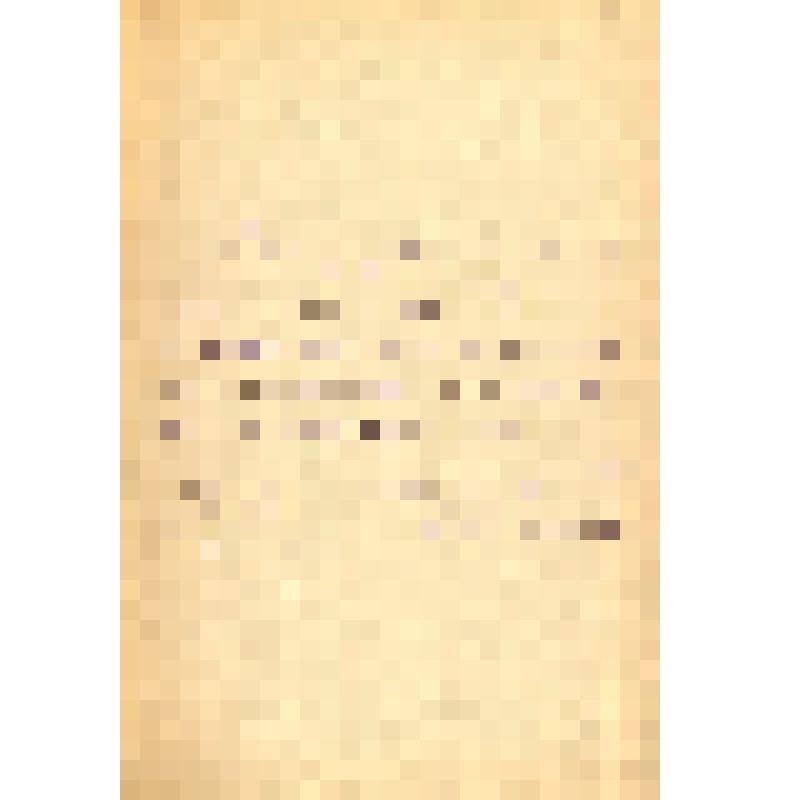 Книга. Литературное наследство Сибири. Том 3