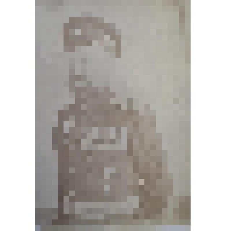 Фотография, поясная- С.А. Янович капитан II р, в офицерском мундире