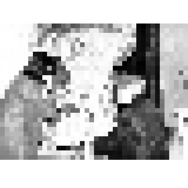 Бондаренко В.В. и Гарутт В.Е. за работой по реставрации черепа трогонтериевого мамонта