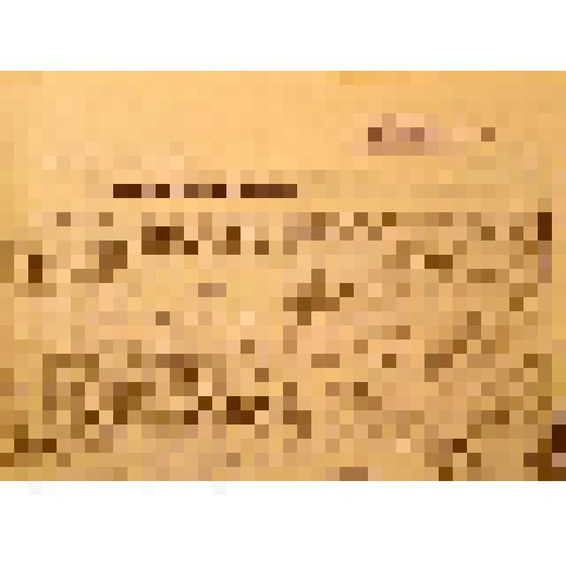 Фрагмент газеты "Известия Советов народных депутатов СССР", № 155 (20501), от 4 июня 1983 года