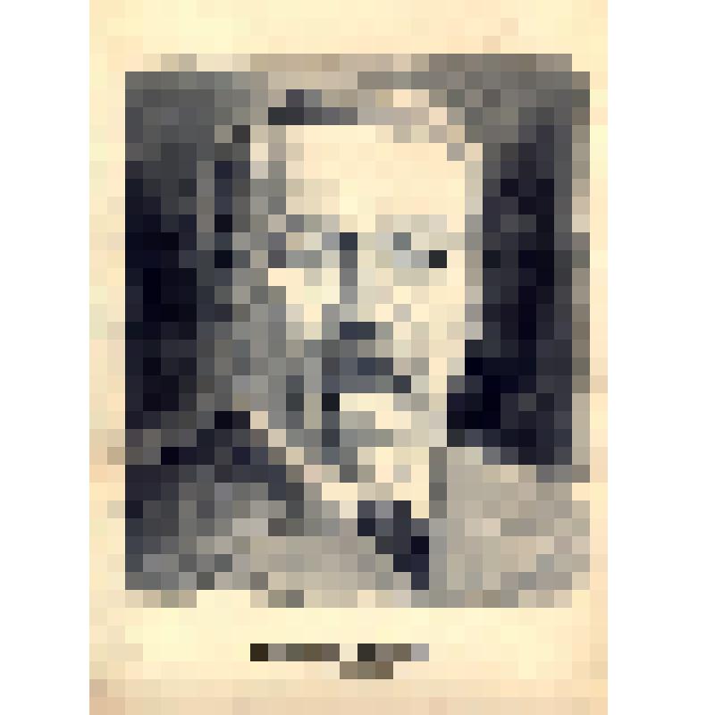 Рисунок "Портрет И.Могилевичъ (Карпенко-Карий)"(?)