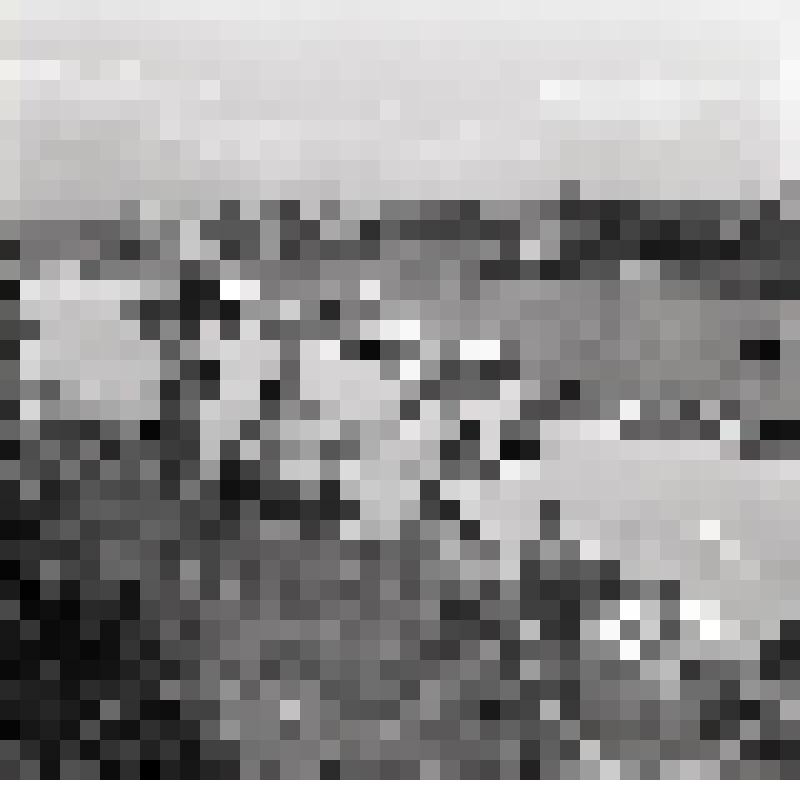 Негатив. Экскурсионные катера у причала в Артиллерийской бухте