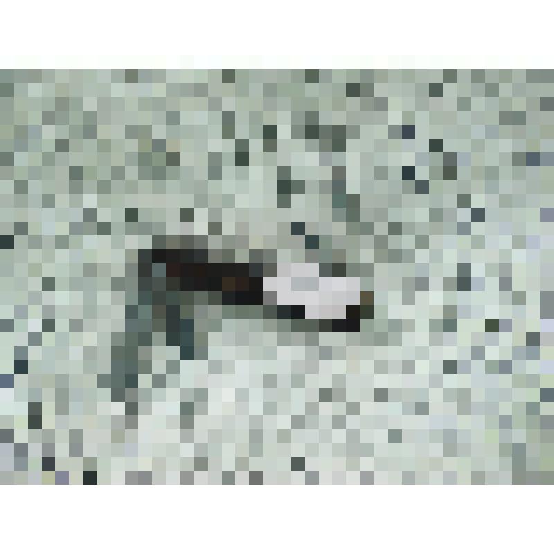 Нож карманный складной производства Завода складных ножей с 14 предметами. Принадлежал А.А. Байкову академику АН СССР