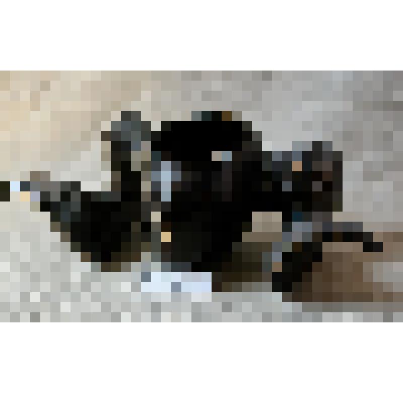 Сувенир. Чаша со стилизованными по сторонам рогами парнокопытного животного