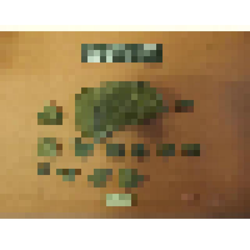 заготовка каменного орудия