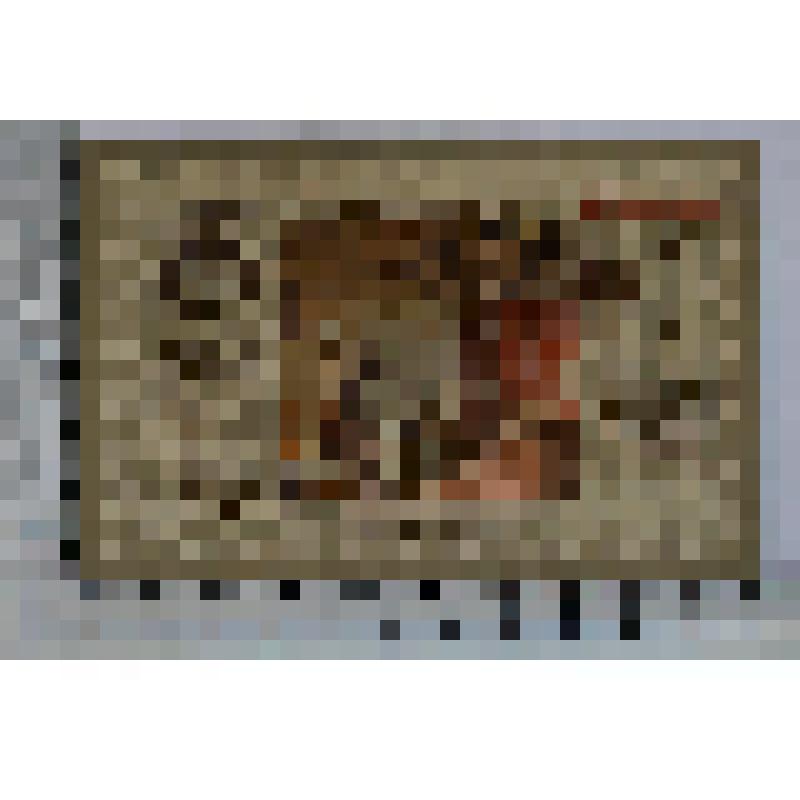 Германия, Тондерн (Tondern, теперь Дания, Тённер). Нотгельд. 5 марок. 10 февраля 1920 г