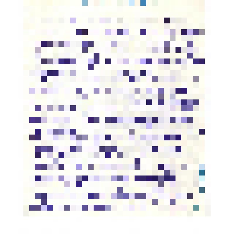 Документ. Воспоминания о Софийском, 1956, 1967 гг