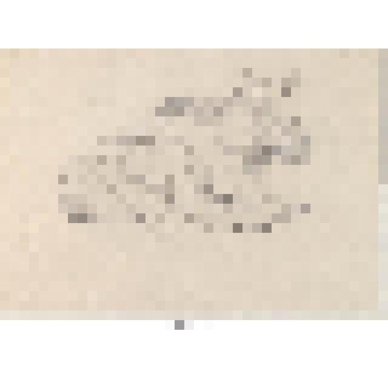 Лось лежащий. Рисунок