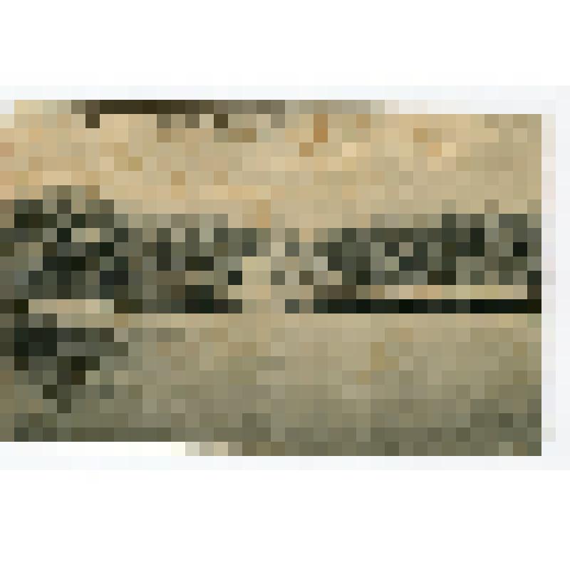 Почтовая карточка "Гатчина. Вид на Приоратский дворец"