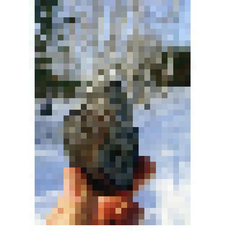 Открытка. Что прилетело к нам? Из комплекта "Метеорит "Челябинск"