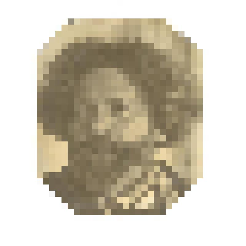 Фото Волошина М.А